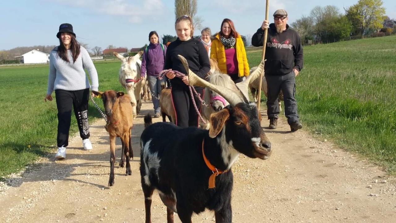 Basse-Cour De Montin Au 256 Chemin De La Rocaille A 38510 Vezeronce Curtin Panzió Morestel Kültér fotó